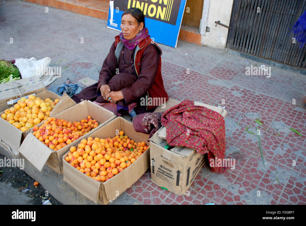 Lady Obstverkäufer am Hauptmarkt von Leh; & Bihar; Indien Stockfoto