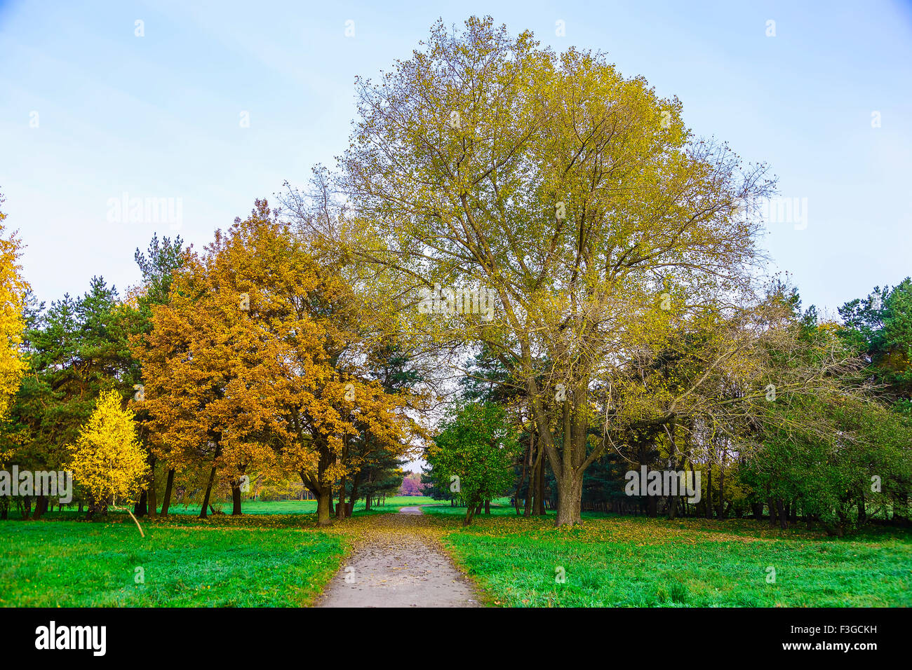 Grass pathway Fotos und Bildmaterial in hoher Auflösung Alamy