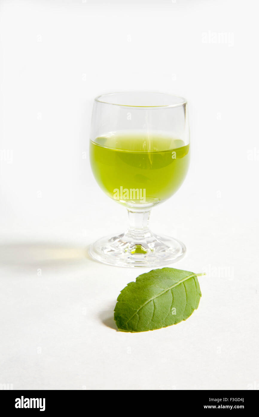 Heiliges Basilikum Pflanze Tulsi Blättern und ein Glas Saft Ocimum Sanctum wunderbare Medizin Stockfoto