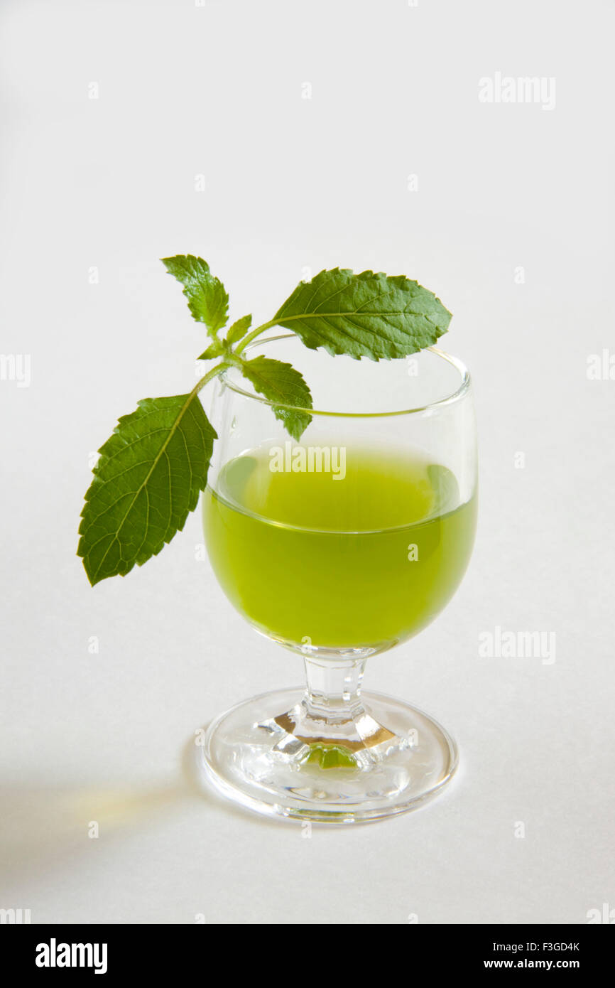 Heiliges Basilikum Pflanze Tulsi Blättern und ein Glas Saft Ocimum Sanctum wunderbare Medizin Stockfoto