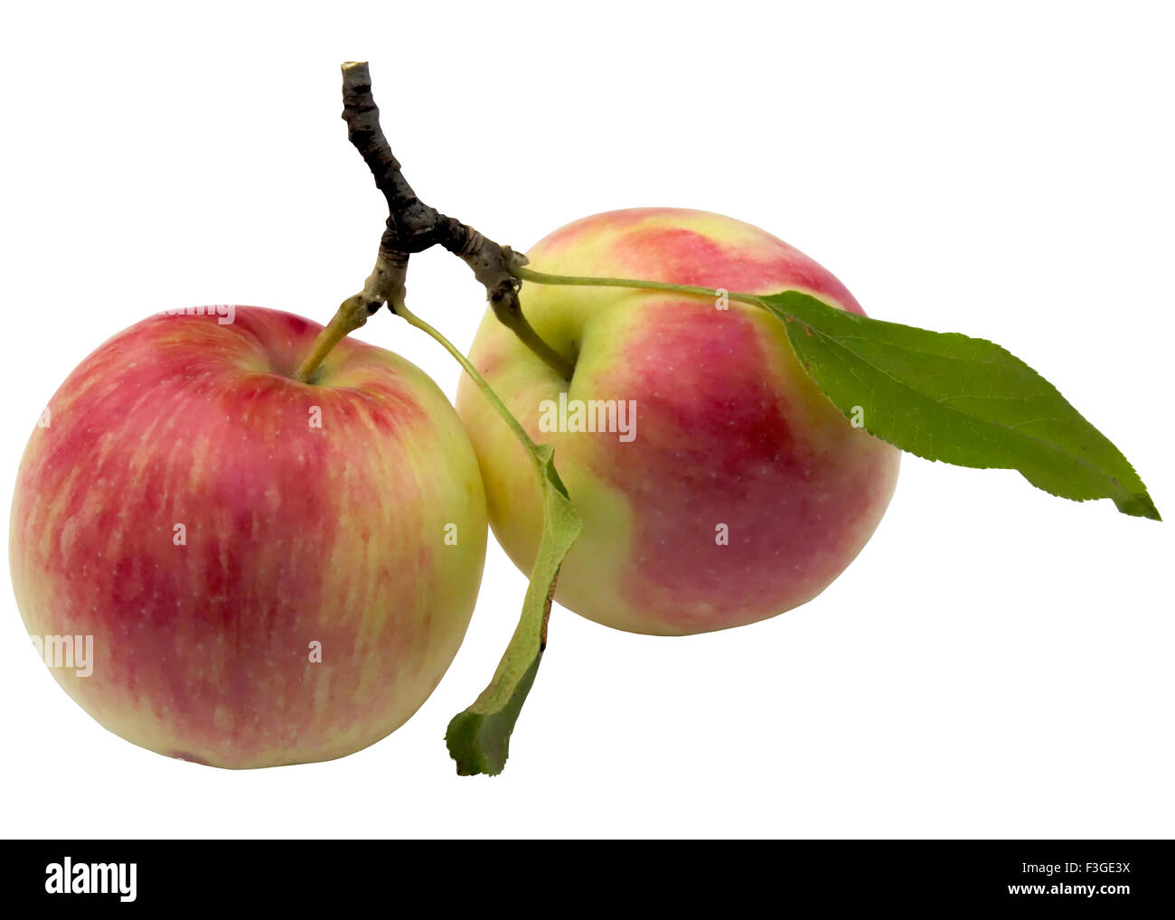 Obst, gesund, Apfel, rot, frisch, süß, Essen, Bio, reif. Stockfoto