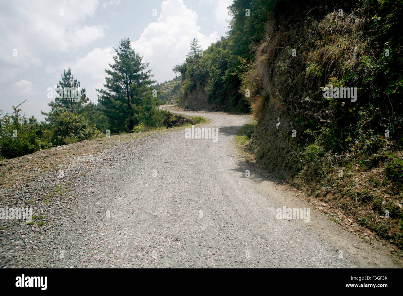 Straße; Himalaya; Uttaranchal; Indien Stockfoto