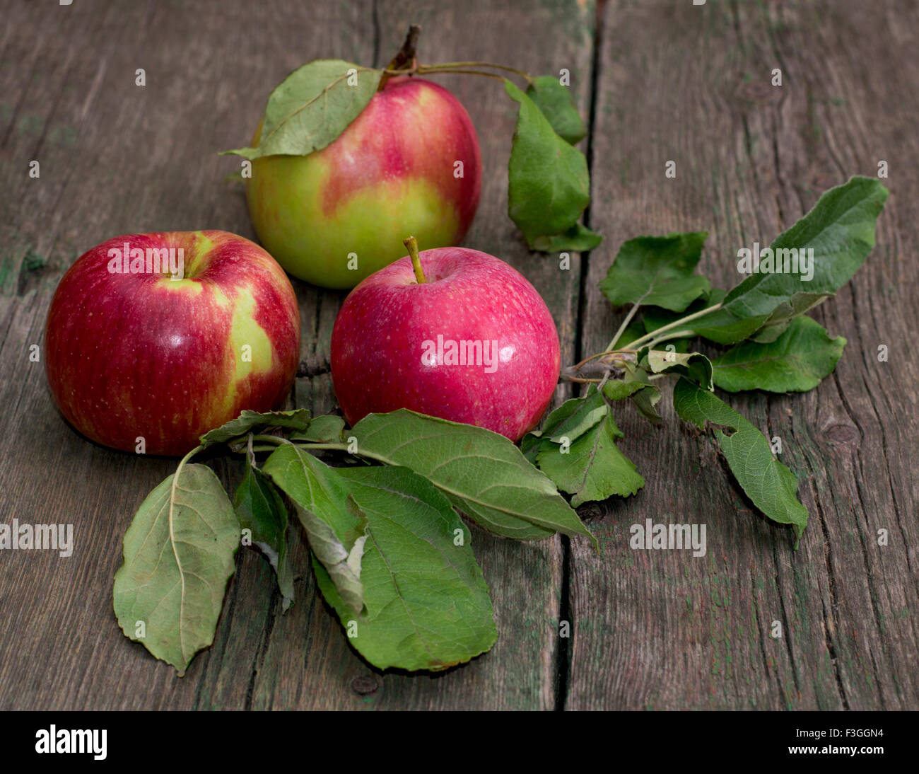 Still-Leben drei Äpfel mit Blättern auf einem alten Holztisch Stockfoto