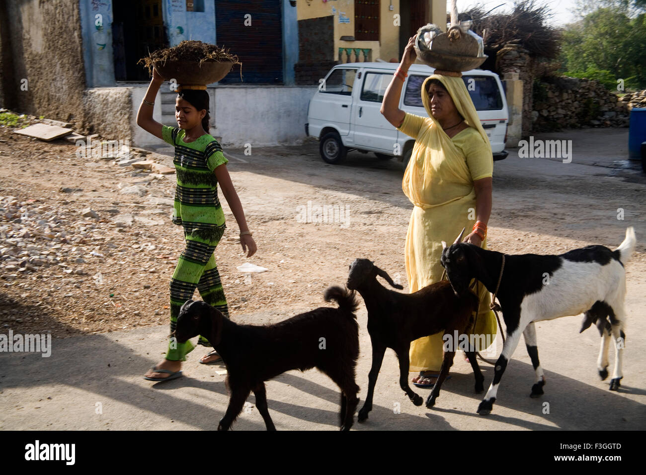 Zwei Weibchen tragen kleine Last auf Kopf; Landleben; Dorf Delwara; Udaipur; Rajasthan; Indien Stockfoto