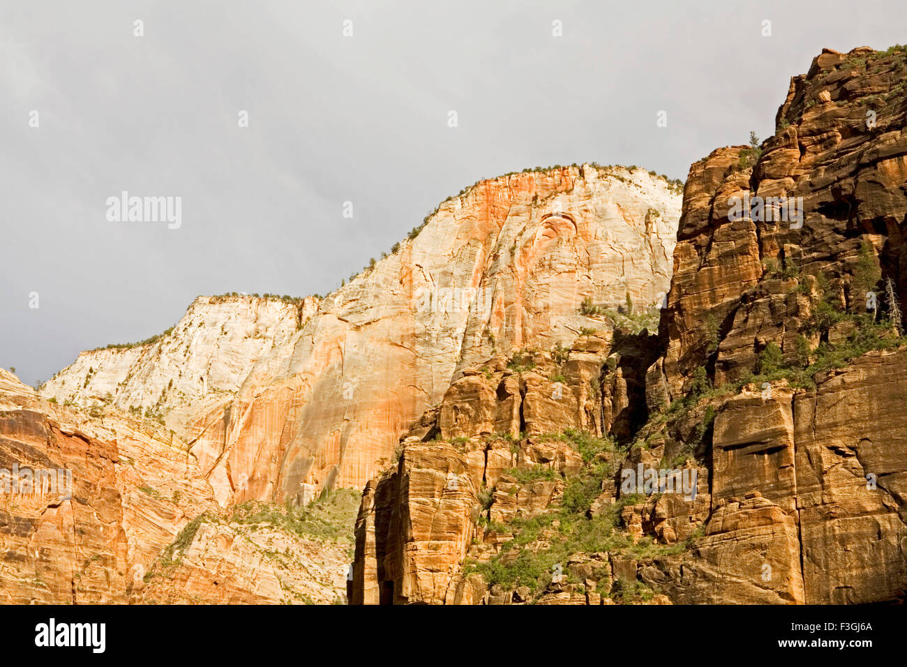 Verfeinerungen, statt ständig im roten Sandstein in einzigartigen Blick auf den Zion Canyon Nationalpark; VEREINIGTE STAATEN VON AMERIKA Stockfoto