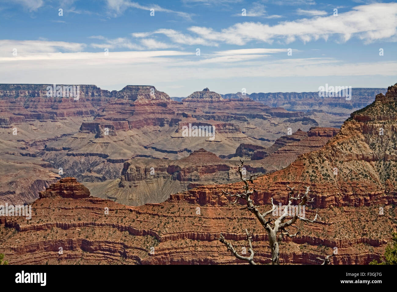 Gesteinsschichten in den Canyonwänden ausgesetzt; Grand-Canyon-Nationalpark; Vereinigte Staaten von Amerika Vereinigte Staaten von Amerika Stockfoto