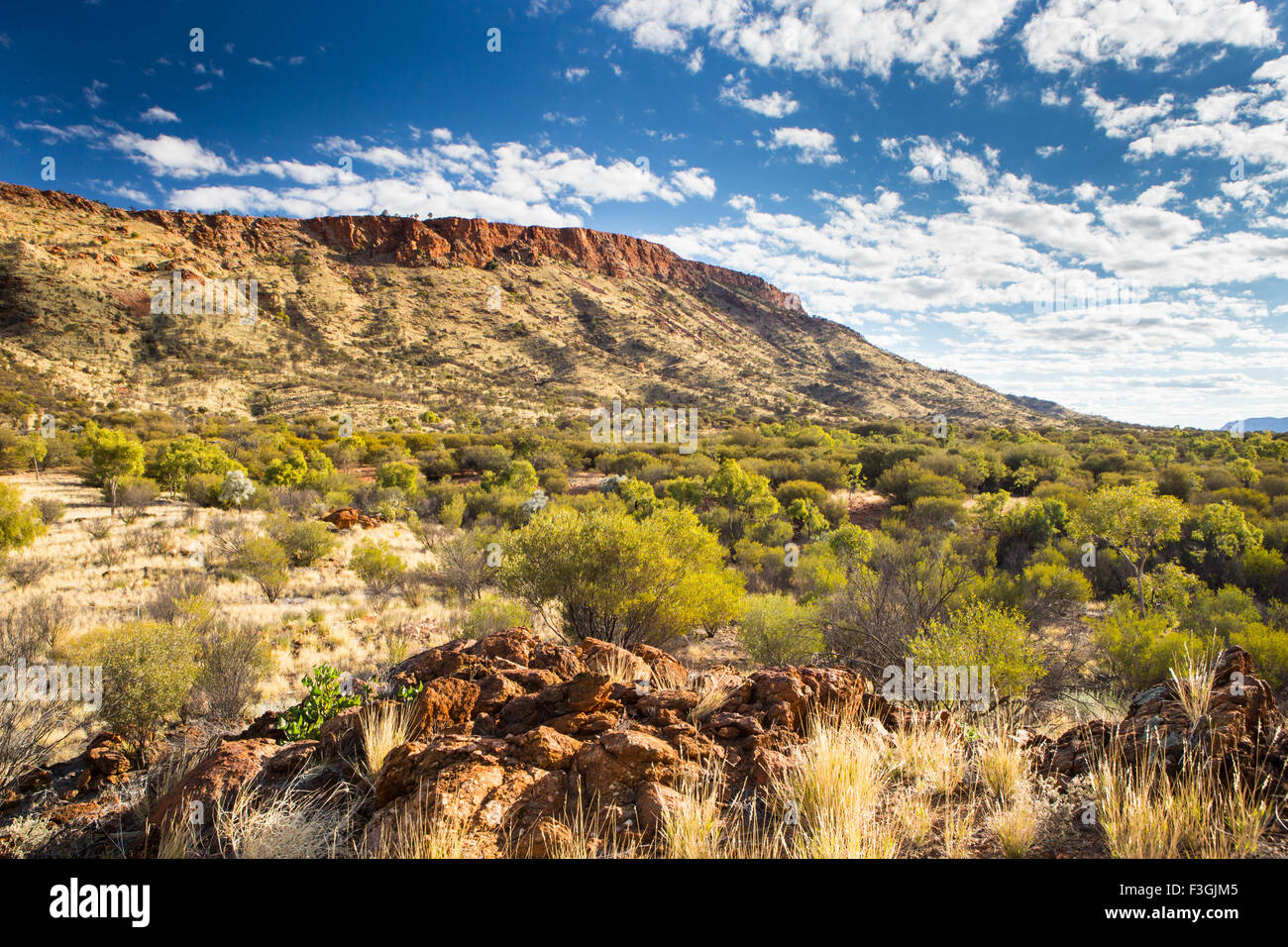 Der Blick über Buschland in Richtung Mount Gillen in der Nähe von Alice Springs, Northern Territory, Australien Stockfoto