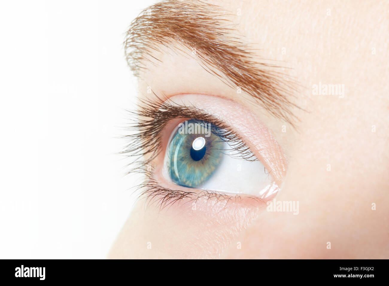 Menschliche, blauen gesunden Auges Makro mit weißem Hintergrund Stockfoto