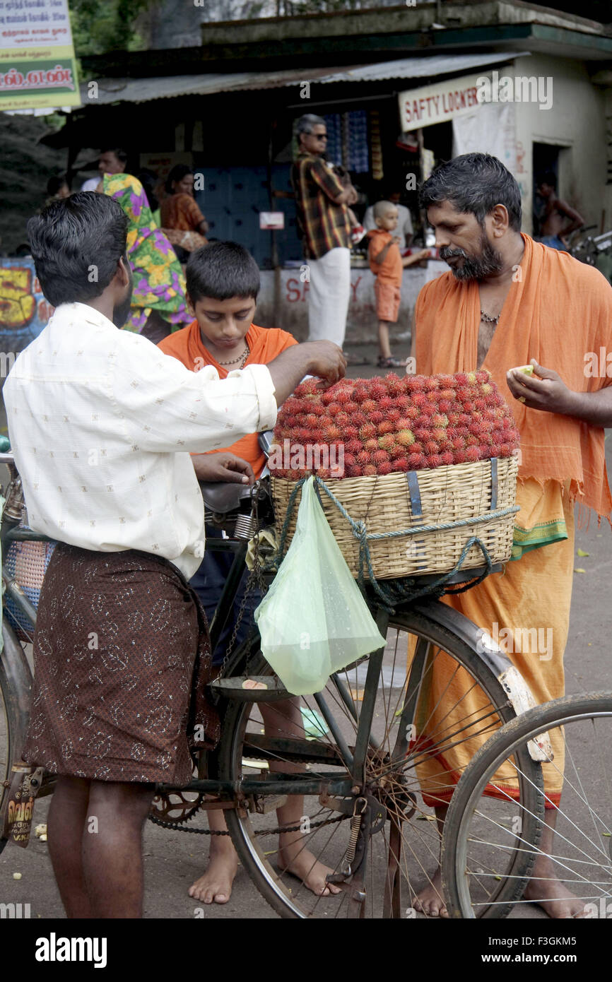 Rambuthan-Obst-Verkäufer; Kurtallum; Tamil Nadu; Indien Stockfoto