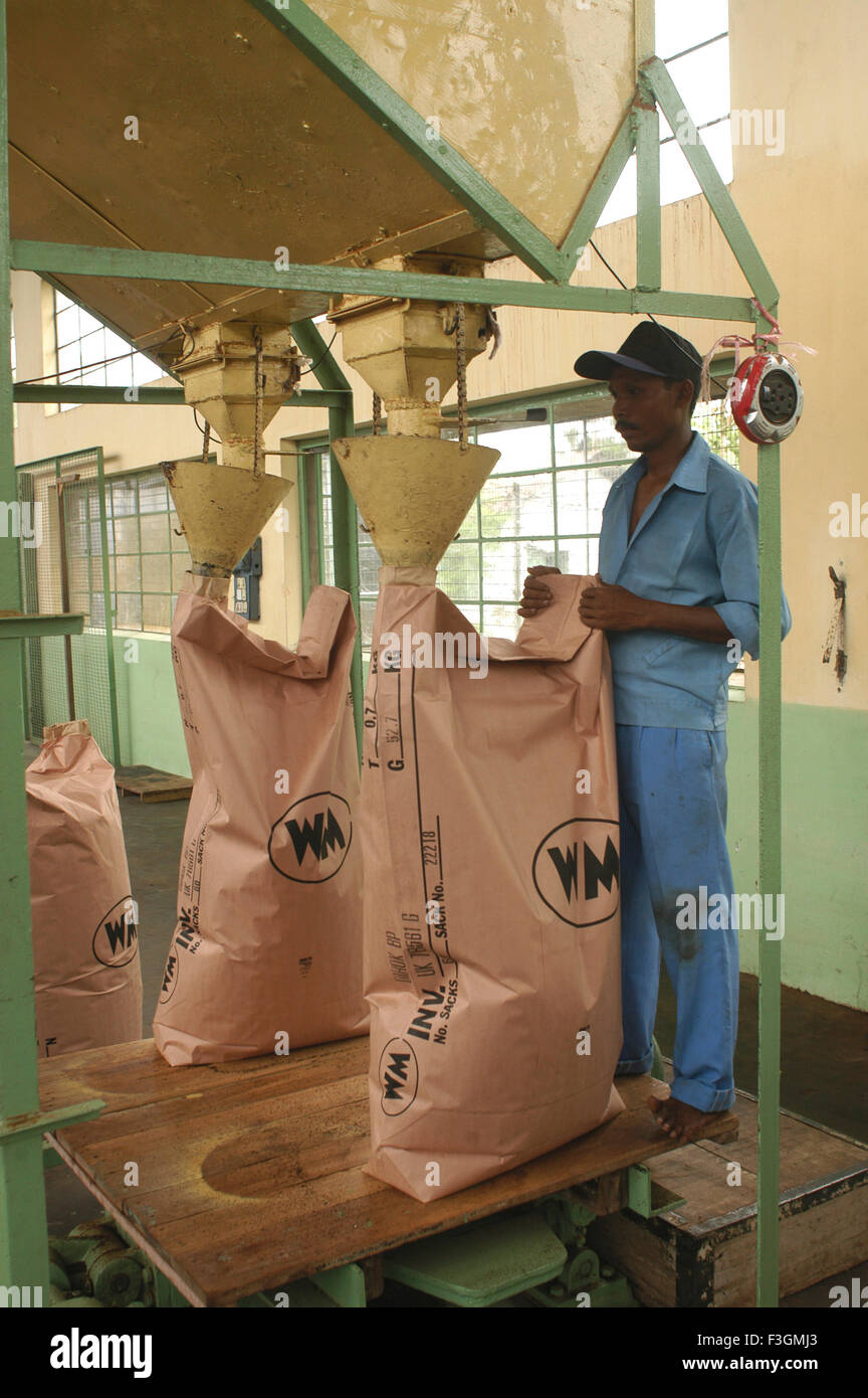 Verpackung Tee, Teefabrik, assam, darjeeling, indien, asien Stockfoto