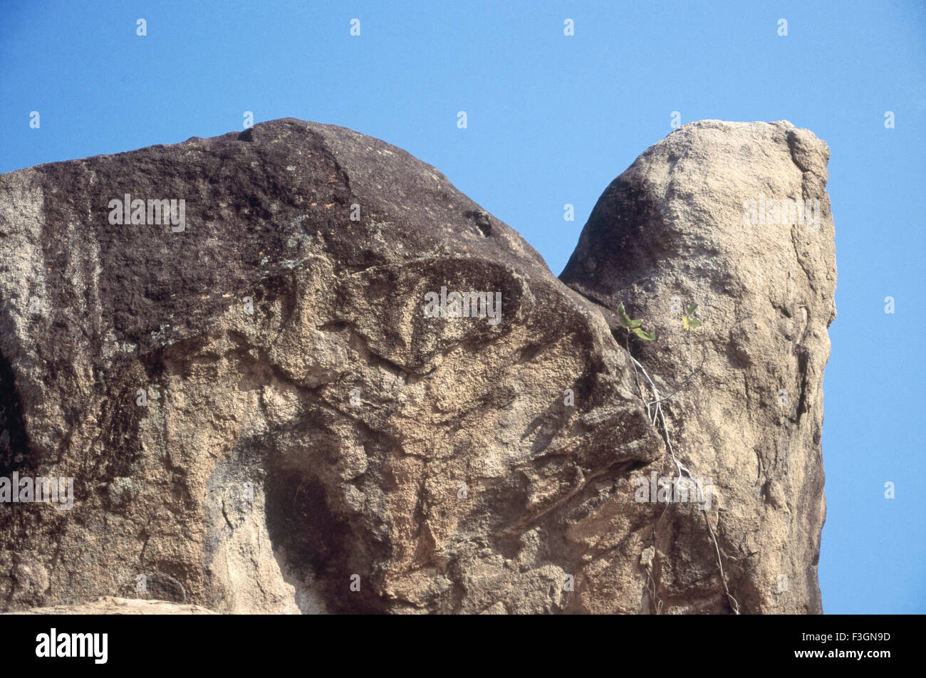 Schildkröte-Rock; Frau Mahal; Jabalpur; Madhya Pradesh; Indien Stockfoto