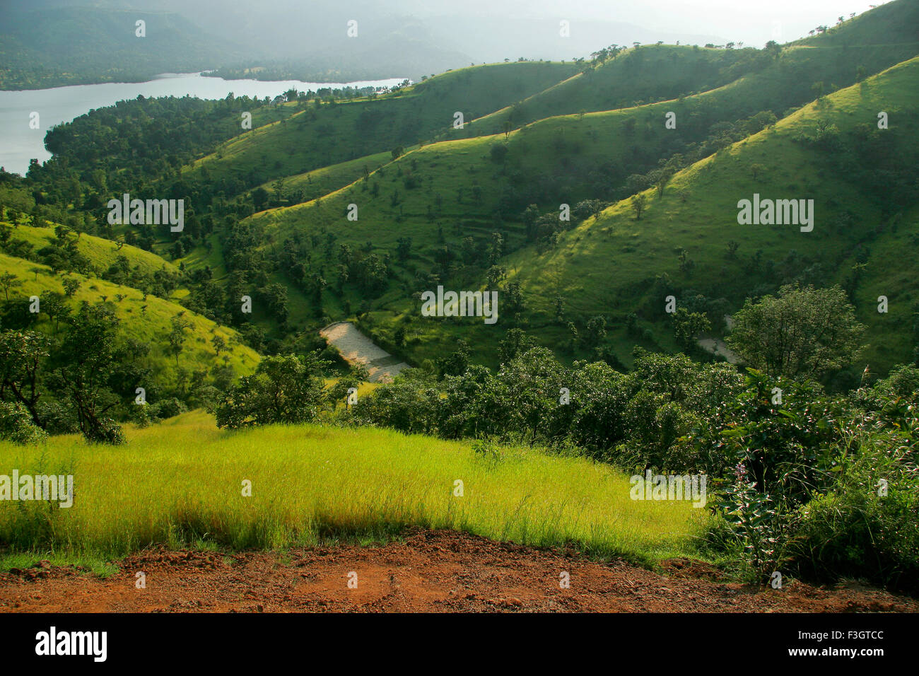 Nebligen Landschaft mit sanften Hügeln, Monsun frischen grünen und Koyna Rückstau; Tapola; Maharashtra; Indien Stockfoto