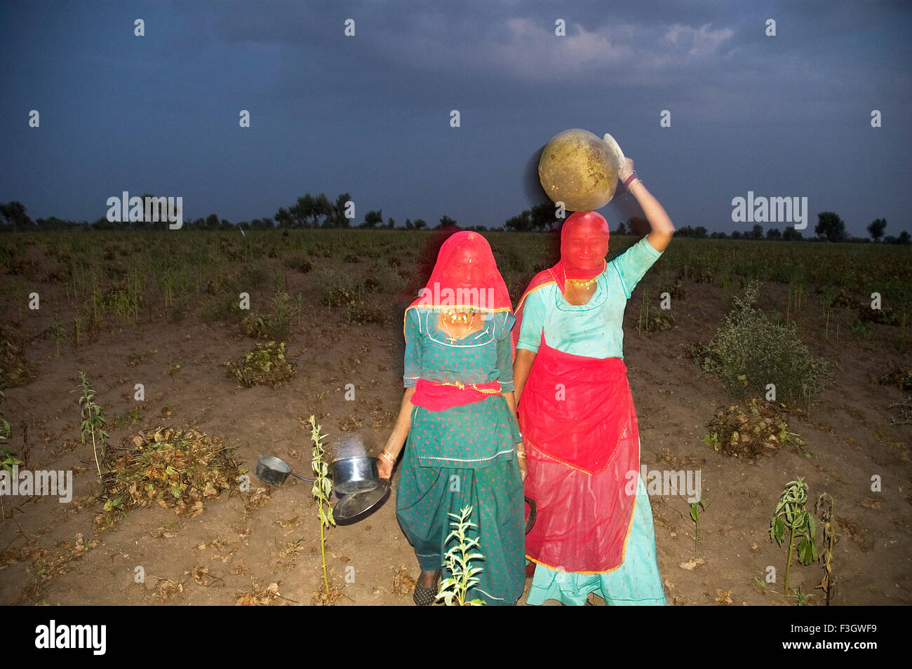 Zwei Frauen von Bishnoi Gemeinschaft Gesicht bedeckt bunten chunni tragen irdenen Topf Rückkehr nach Hause Dorf Bisalpur Jodhpur Rajasthan Indien Stockfoto