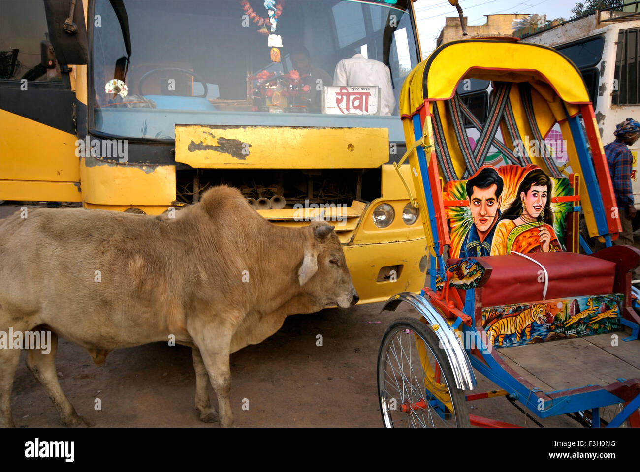 Kuh und Bus im Hintergrund mit Fahrradrikscha in Rewa Bushaltestelle; Madhya Pradesh; Indien Stockfoto