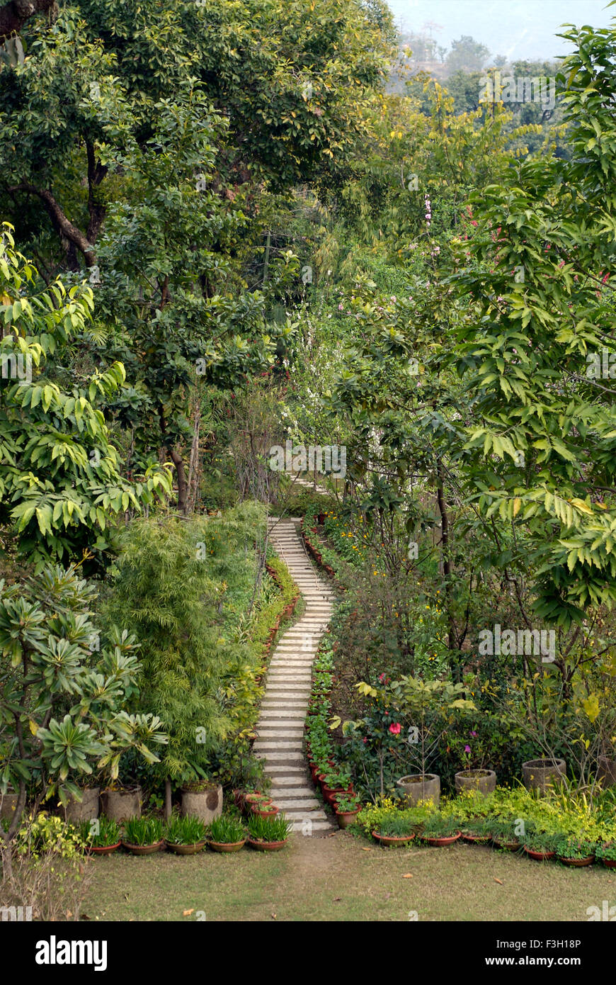 Ein Pfad besteht aus Fliesen in einem Garten; Dehradun; Uttaranchal; Indien Stockfoto