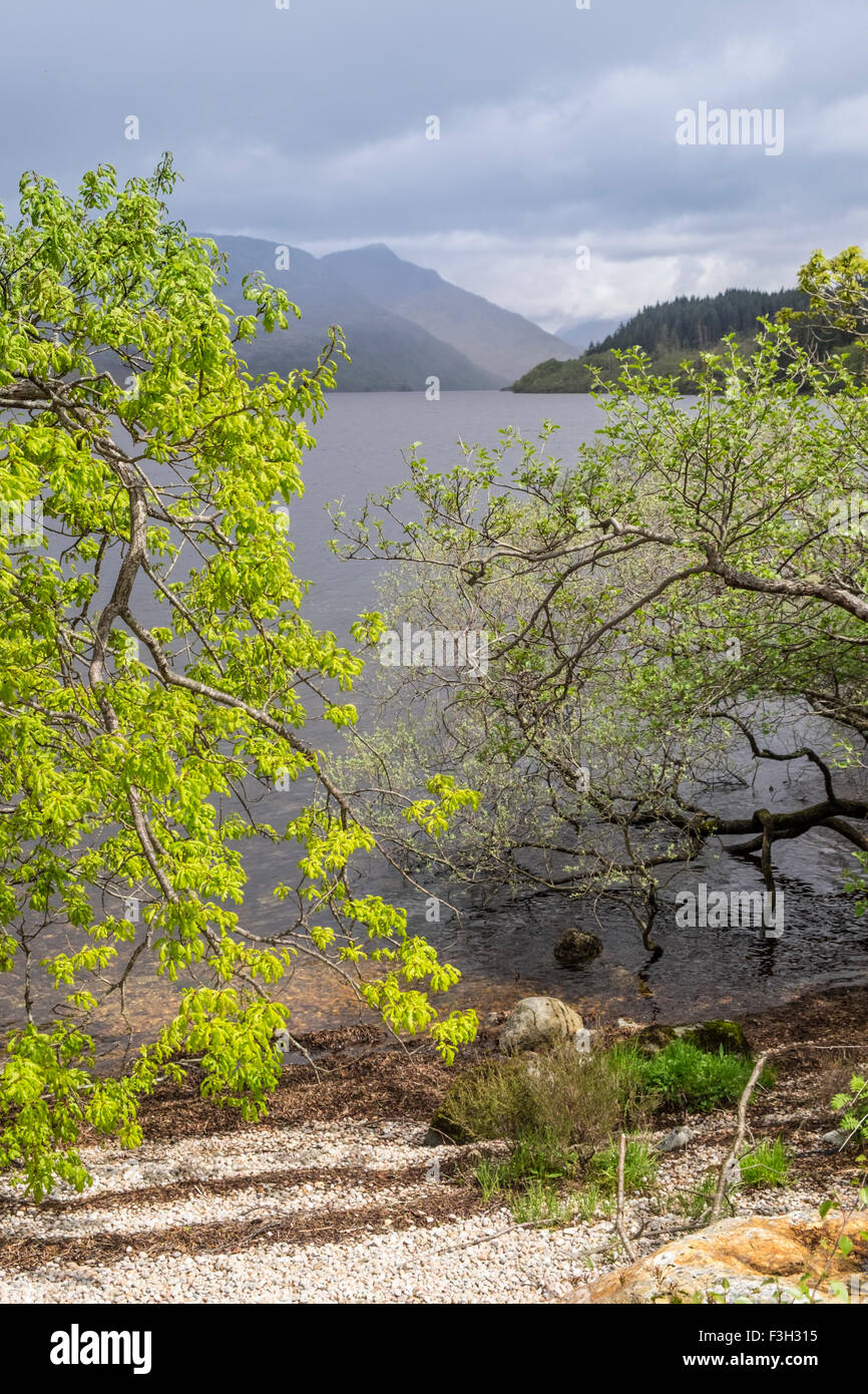 Loch Shiel Stockfoto