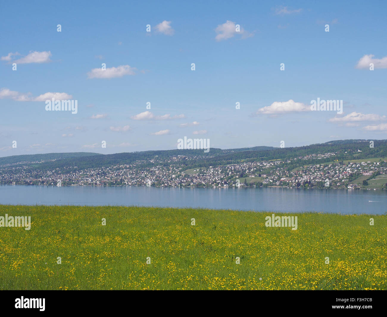 Der Zürichsee Stockfoto