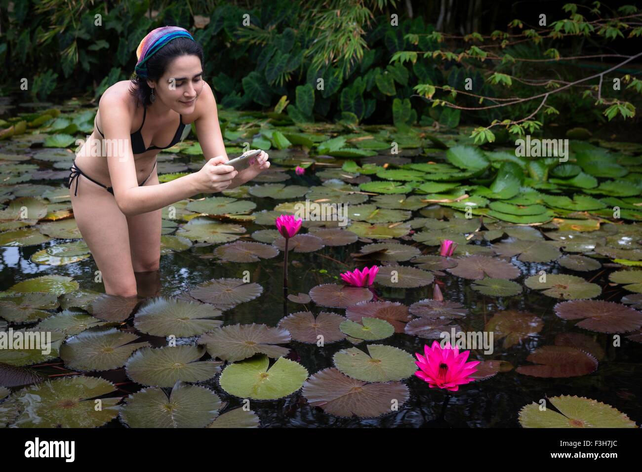 Junge Frau trägt Bikini stehen im Teich mit Smartphone, Foto Seerose (polaren) Stockfoto