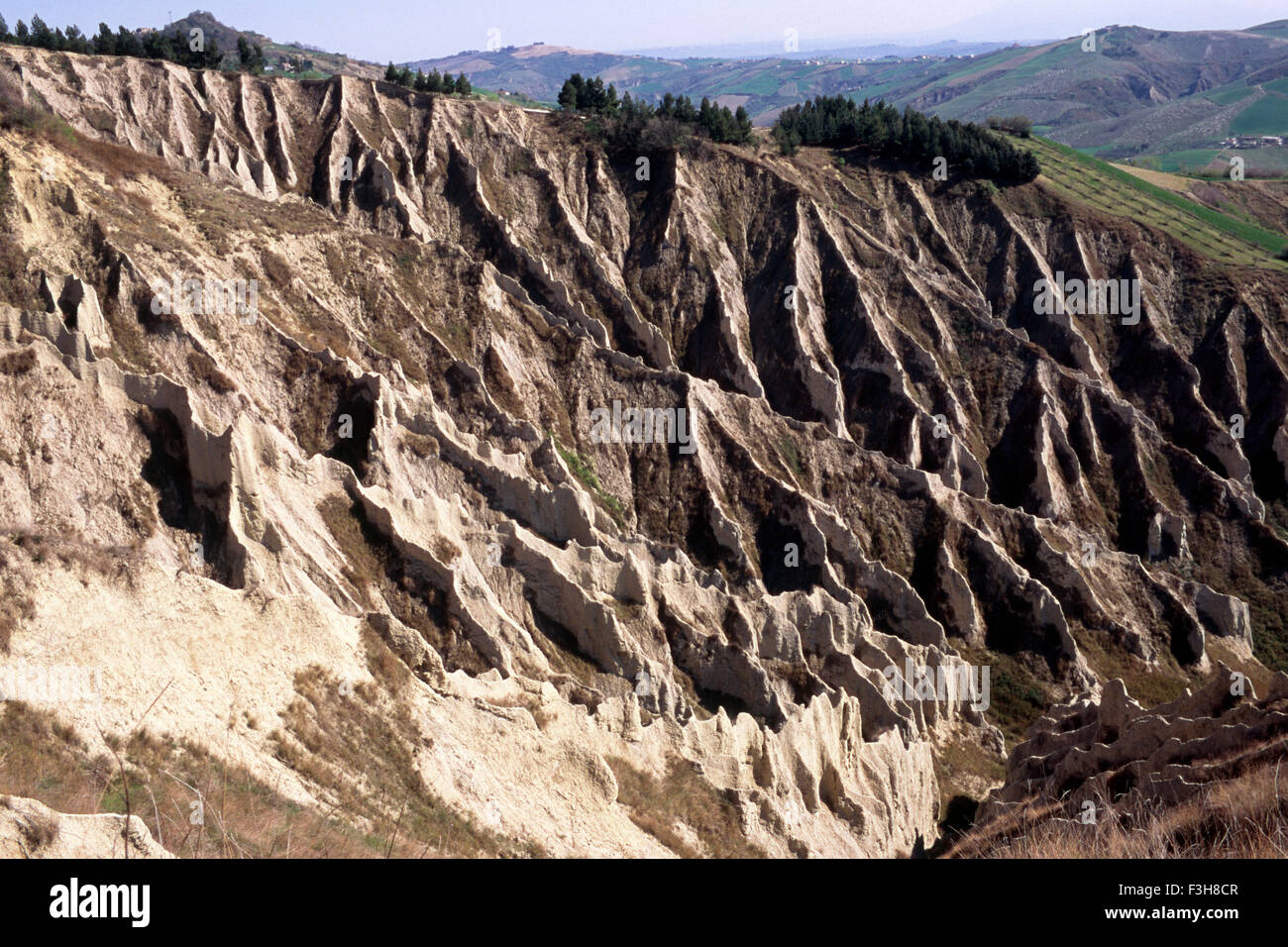 Italien, Abruzzen, Atri, WWF Naturschutzgebiet Stockfoto