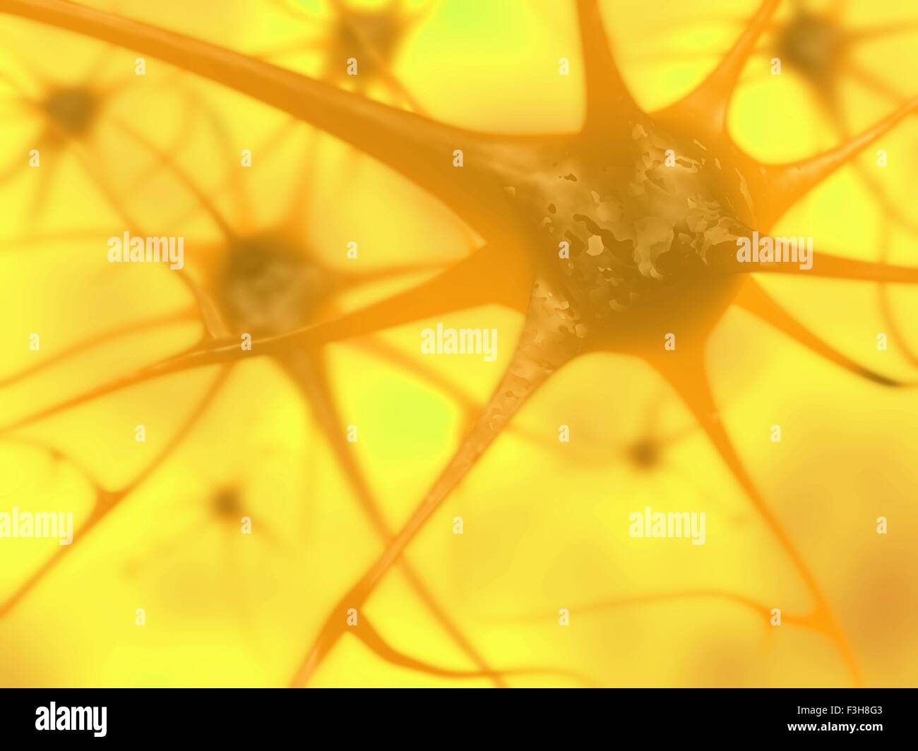 3D Darstellung der Nervenzellen im Gehirn Stockfoto
