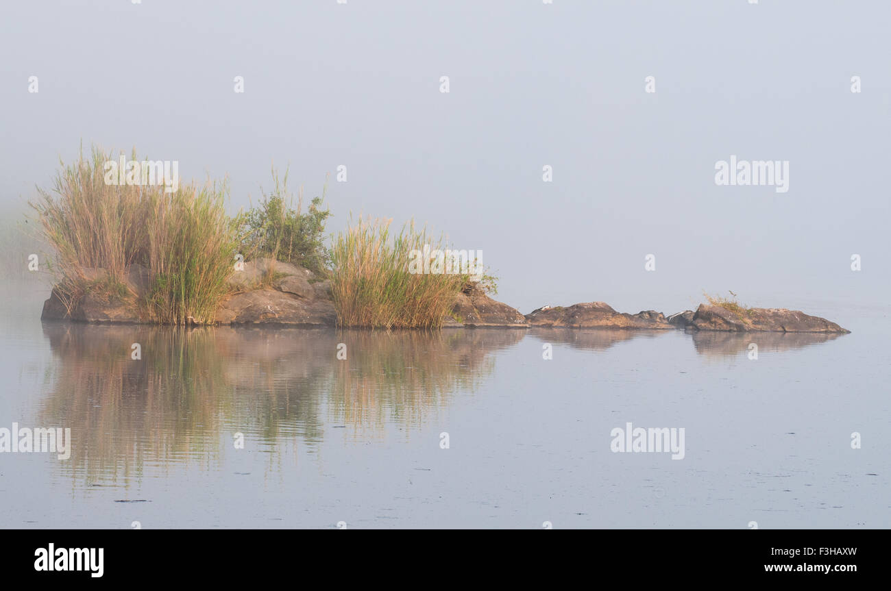 Misty Morning über den Sabie River im Krüger National Park Stockfoto