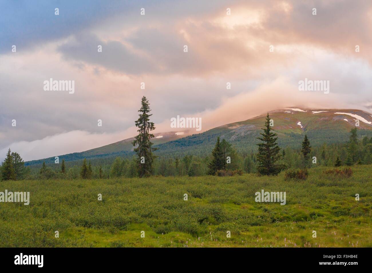 Blick auf Wälder und Berge im Morgengrauen, Uralgebirge, Russland Stockfoto