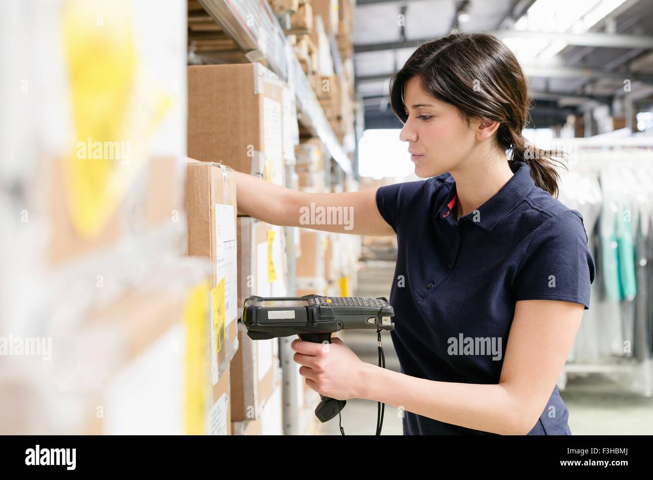 Weibliche Lagerarbeiter mit Barcode-Scanner auf Box im Auslieferungslager Stockfoto