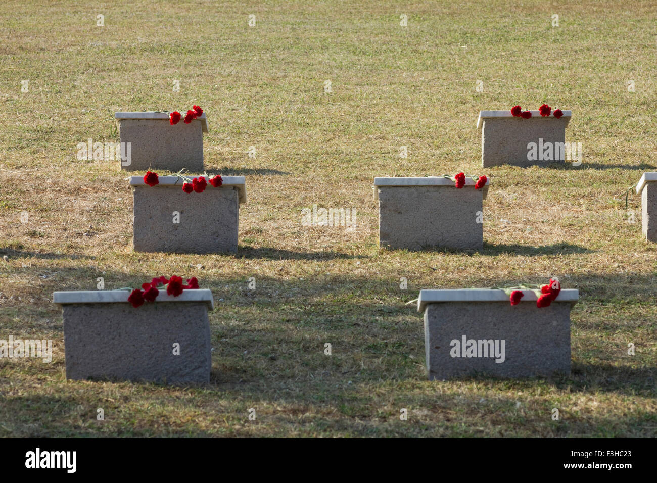 Russischen Krieg Opfer Grabsteine mit roten Nelken auf sie auf dem Friedhof CWGC Osten Mudros. Anlage Stadt Lemnos Insel, Griechenland Stockfoto