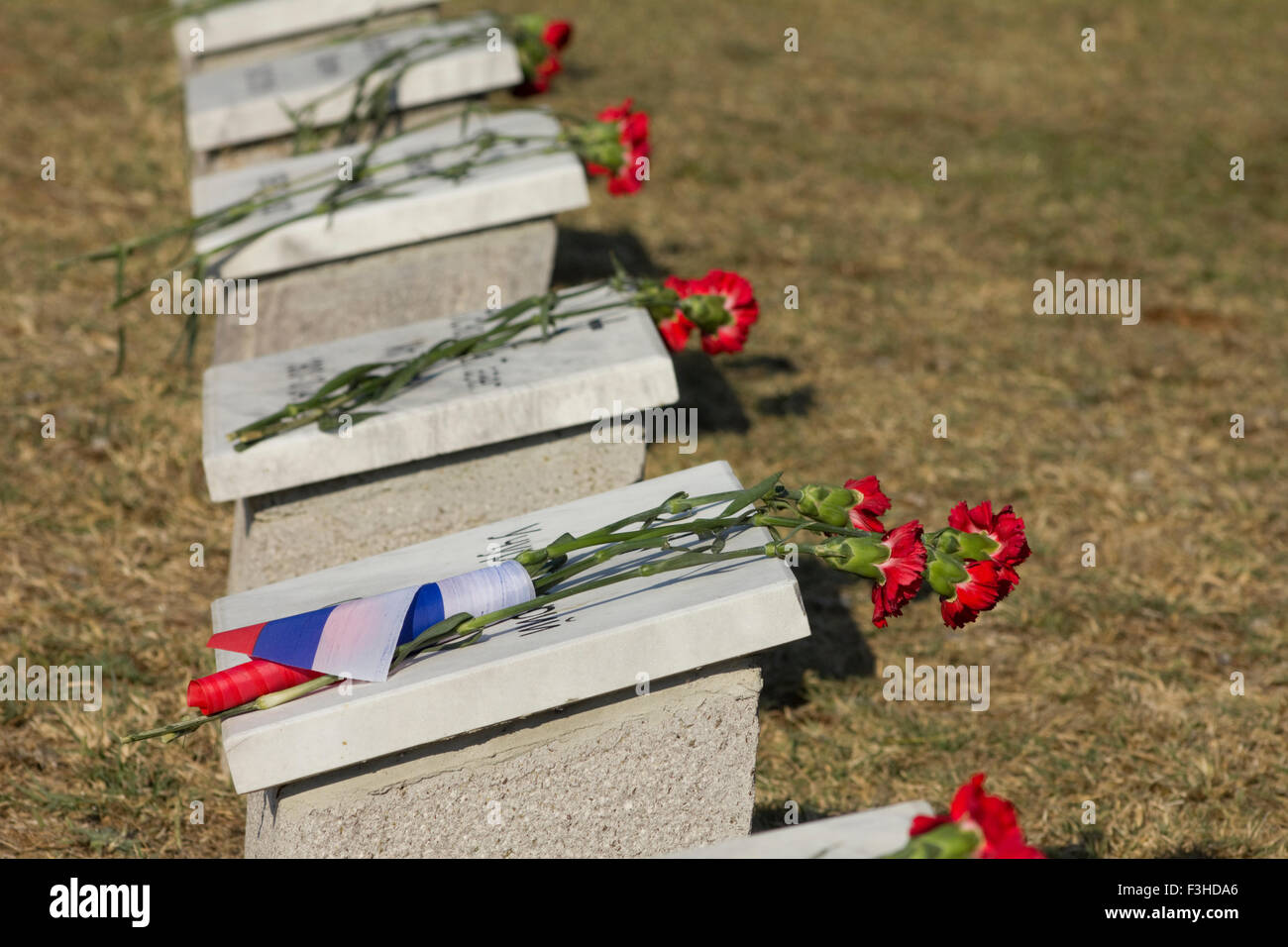 Russische Flagge umwickelt eine rote Nelke Blütenstiel unter russischen Grabsteine verziert mit roten Nelken. NUR E.Mudros Stockfoto