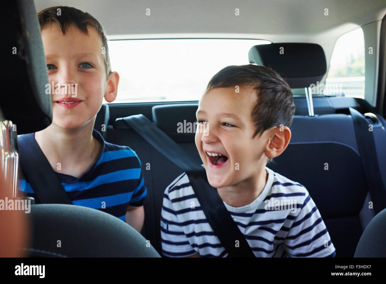 Zwei glückliche junge Brüder, die Reisen auf dem Auto Rücksitz Stockfoto