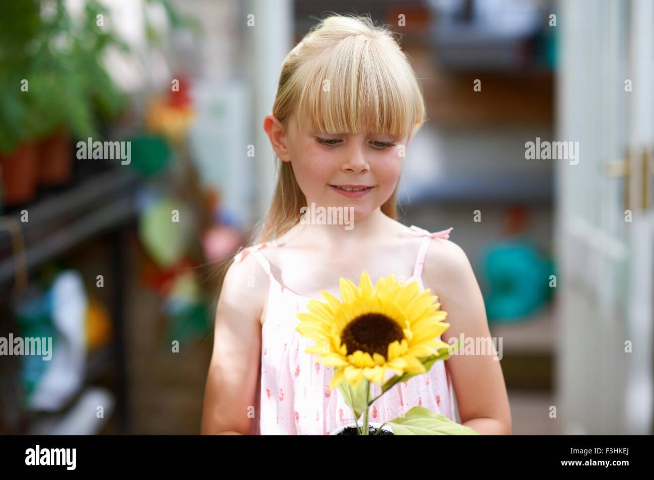 Porträt von Mädchen mit Sonnenblume im Gewächshaus Stockfoto