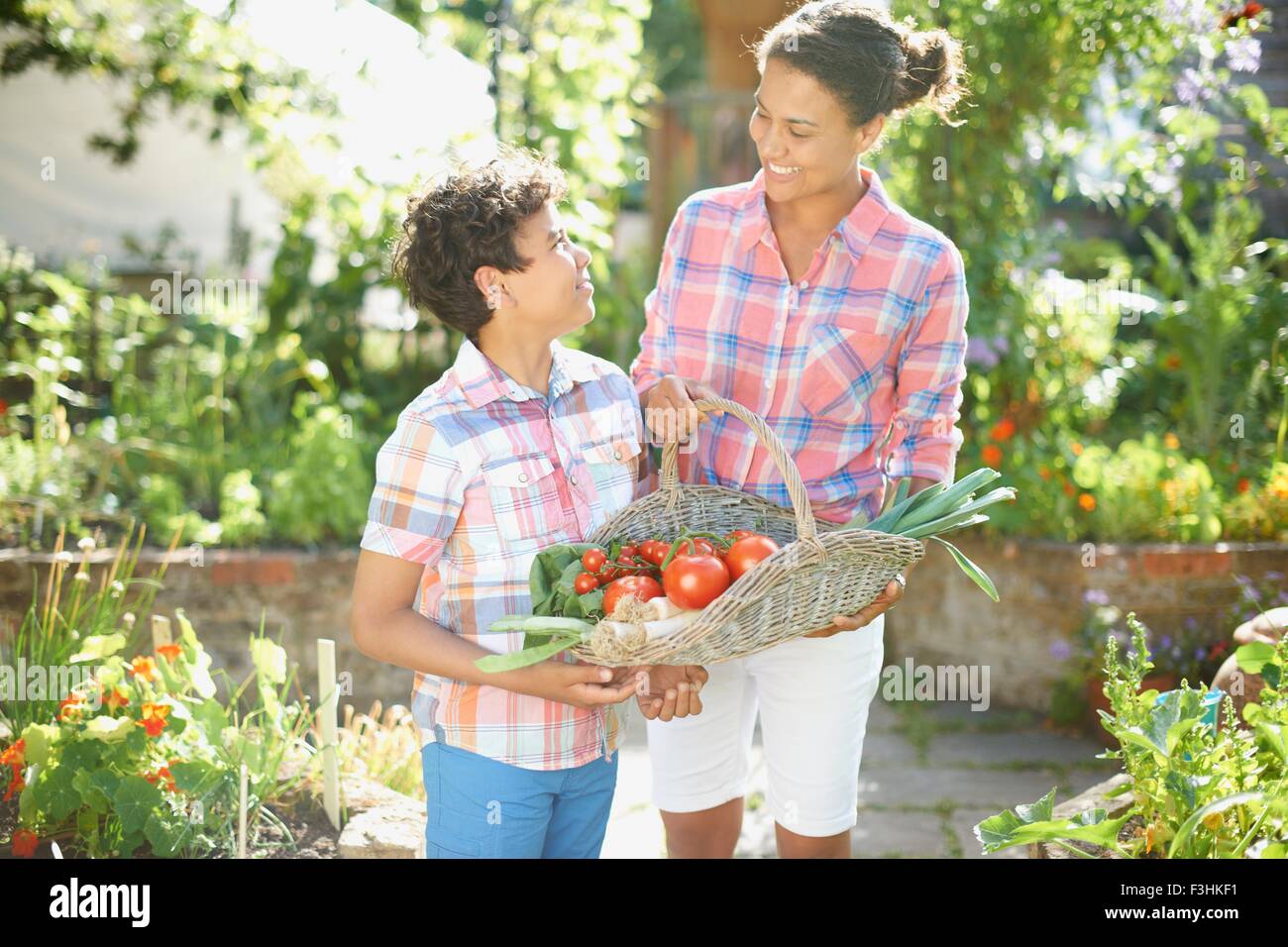 Mitte Erwachsene Frau und Sohn halten Korb frisches Gemüse im Garten Stockfoto