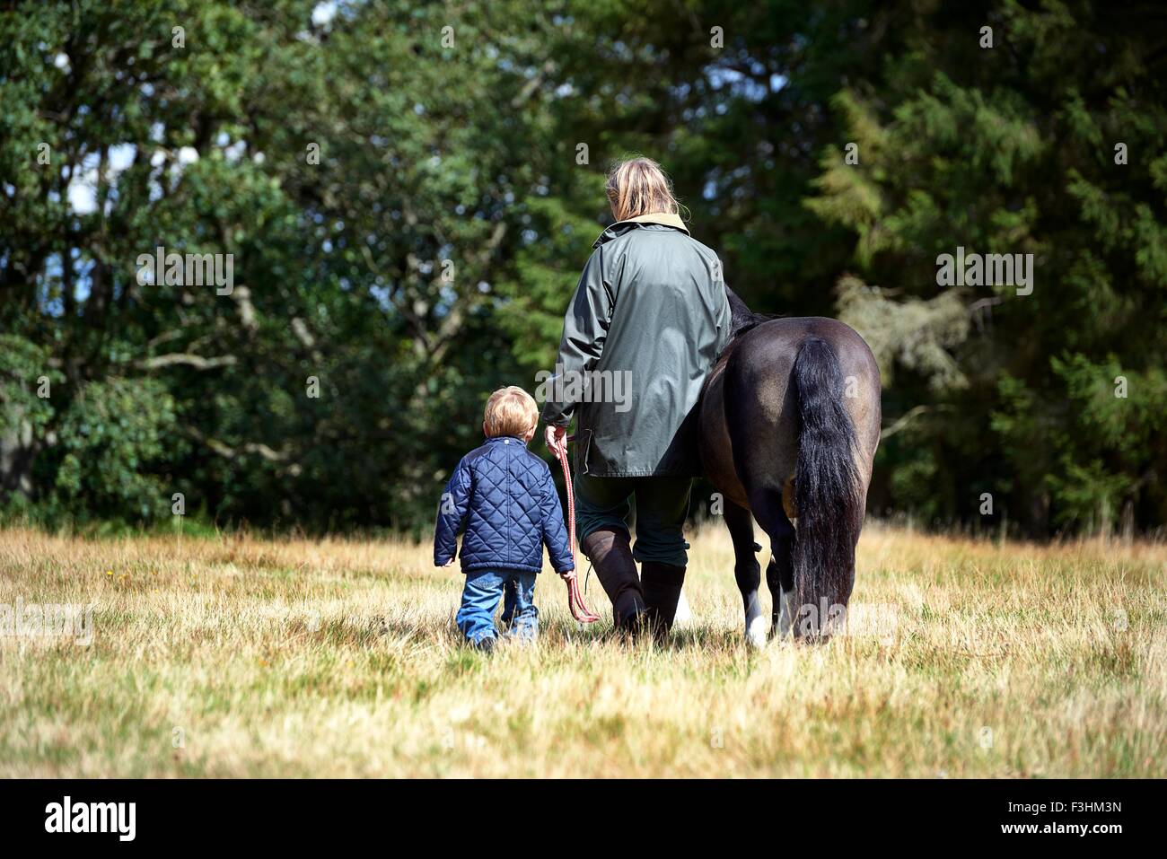 Rückansicht des Mutter und Sohn zu Fuß Pony im Feld Stockfoto