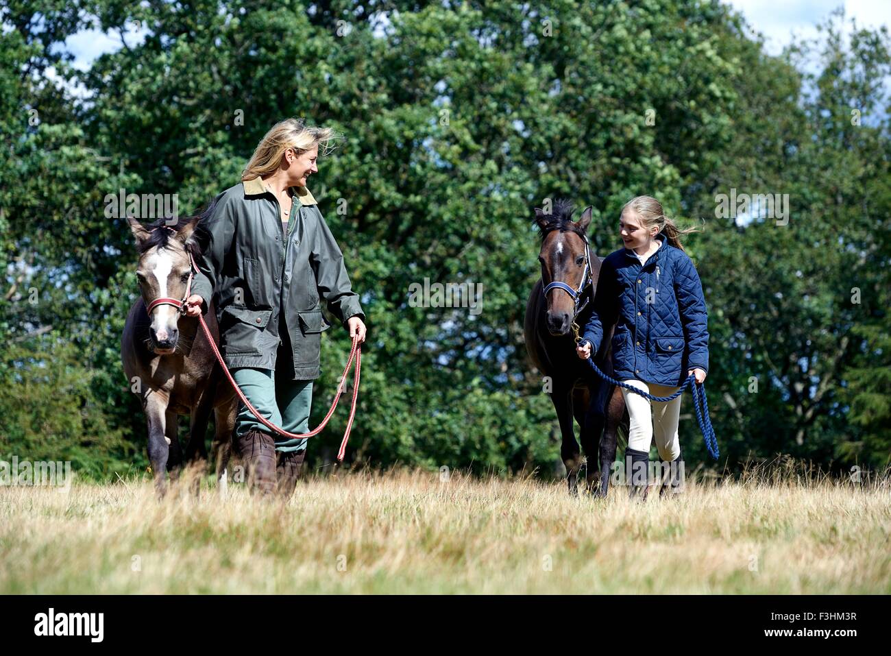 Mutter und Tochter Walking Pferde im Feld Stockfoto