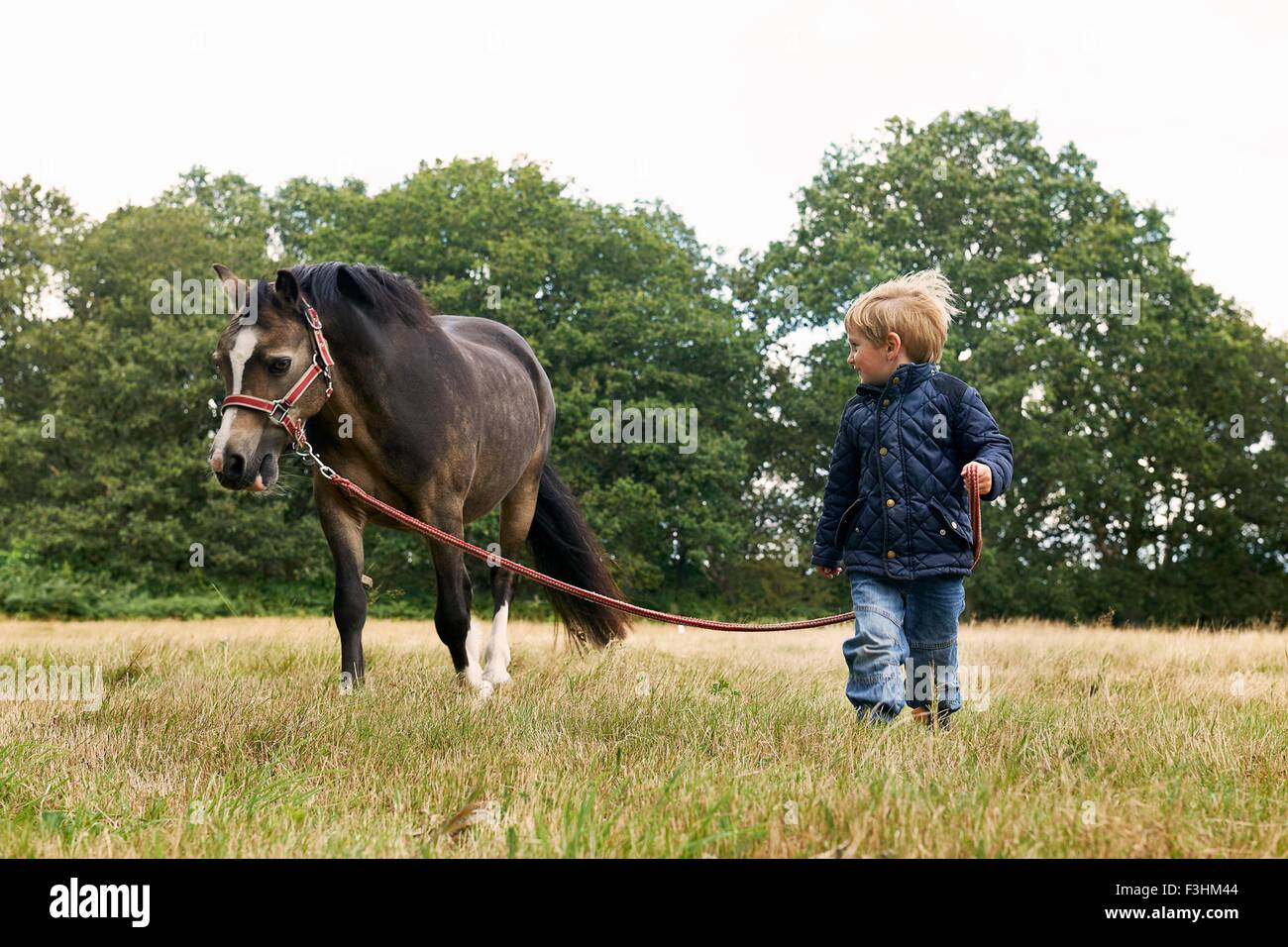 Kleiner Junge führenden Pony im Feld Stockfoto