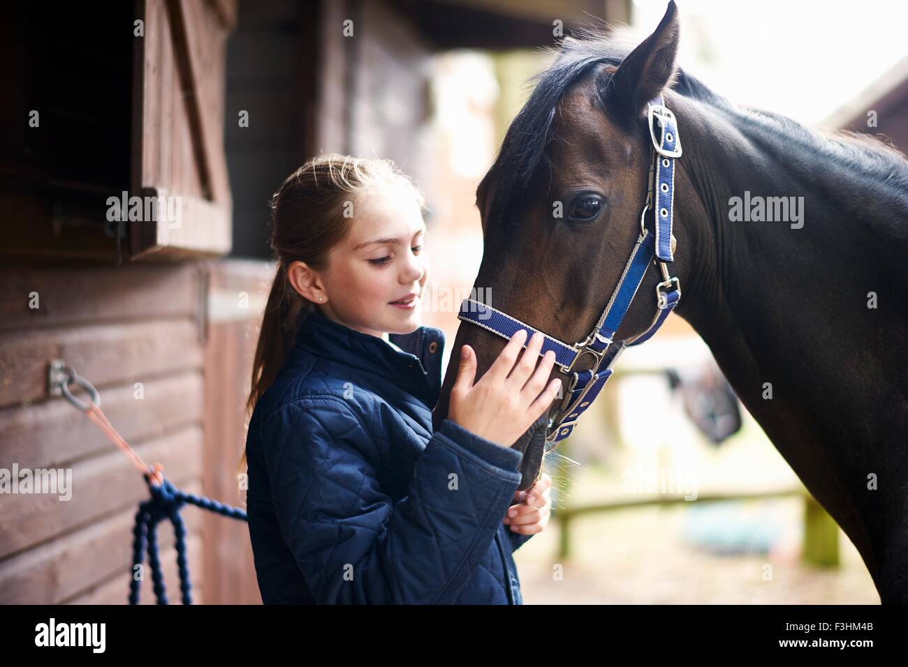 Mädchen Reiterin Petting Pferd Stockfoto