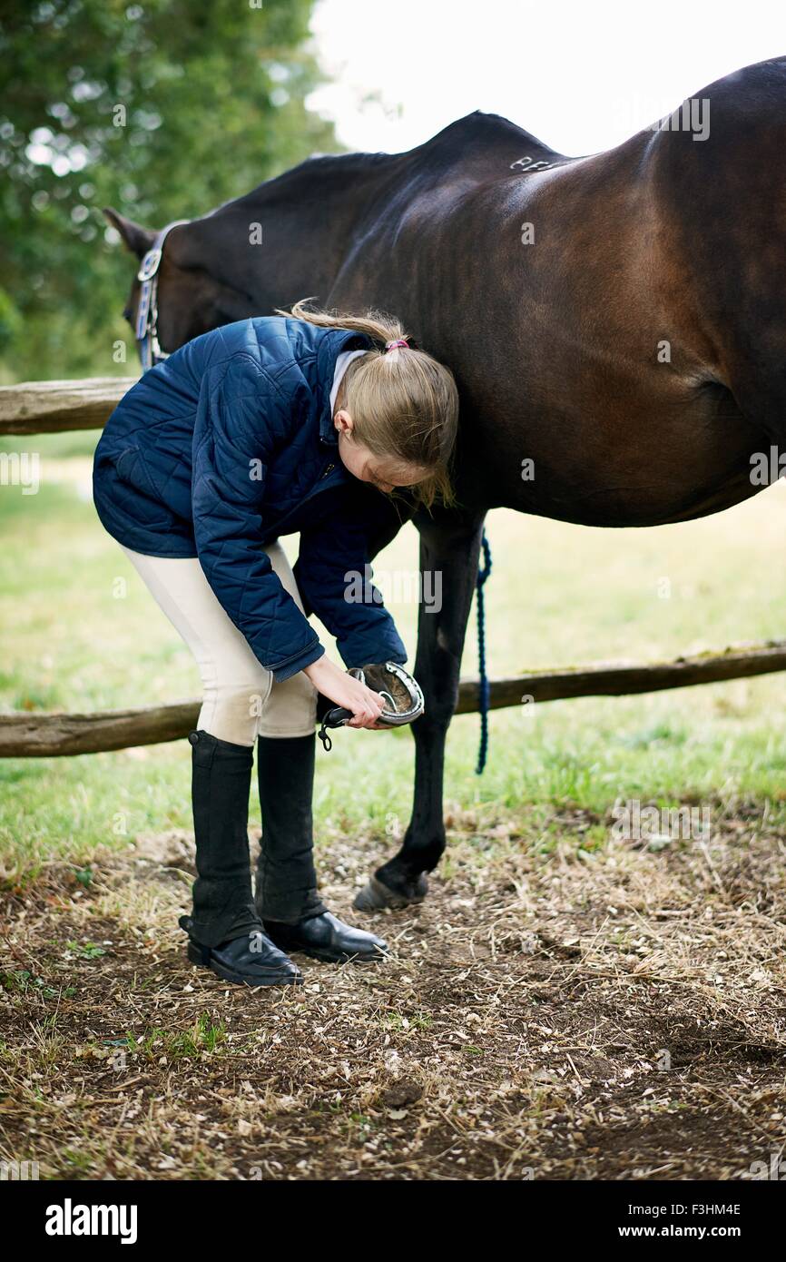 Mädchen Überprüfung Pferde HUF Stockfoto