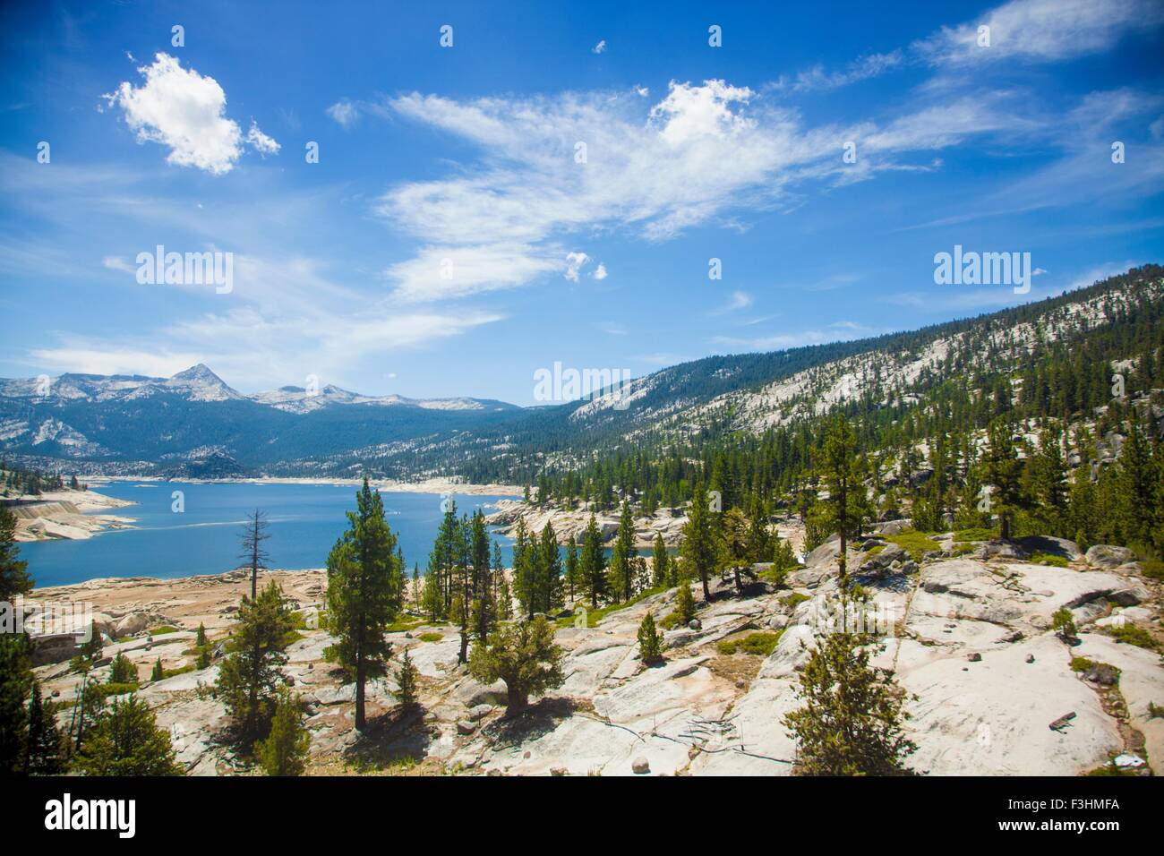 Vogelperspektive Blick auf Bäume und See, High Sierra National Park, Kalifornien, USA Stockfoto