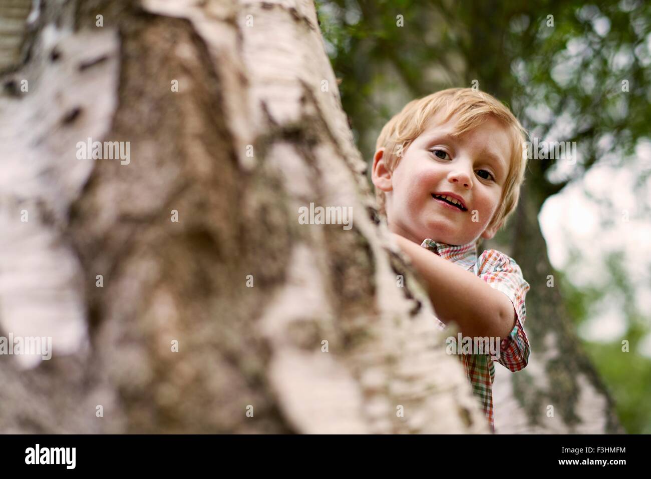 Junge spähen hinter Baum, Blick auf die Kamera zu Lächeln Stockfoto