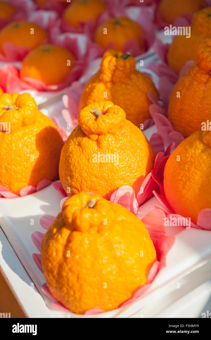 Orangen auf einem Markt in Jeju-Si auf der Insel Jeju Stockfoto