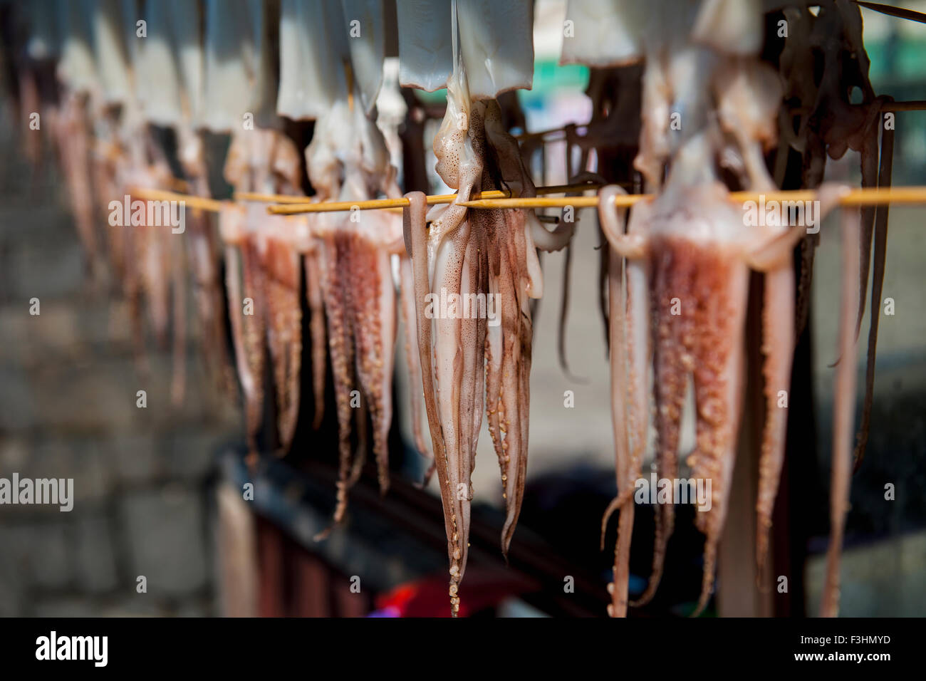 Tintenfische hängen zum Trocknen in Jeju-Si auf der Insel Jeju Stockfoto