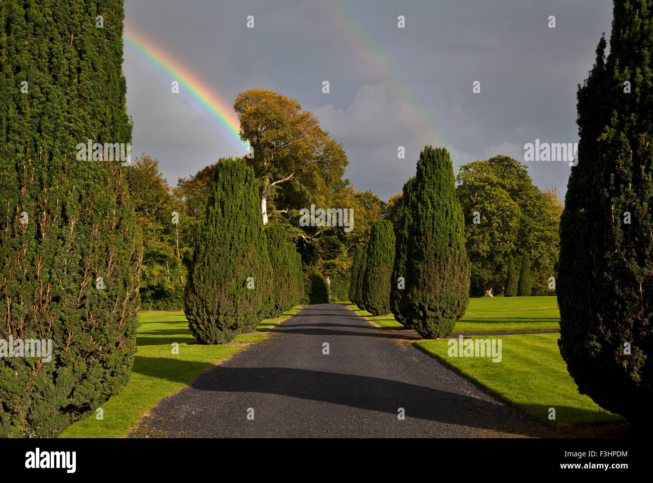 Regenbogen über der Eibe Walk in Emo Court Gardens, Emo Dorf, County Laois, Irland Stockfoto