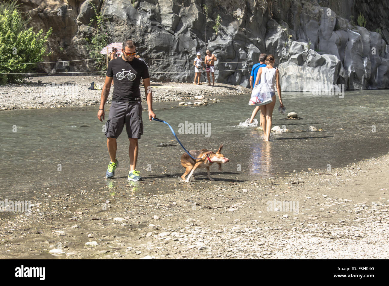 Ein Deutscher Schäferhund schüttelt seinen Körper nach einer Wanderung in die Alcantara-Schlucht, Sizilien, Italien. Stockfoto