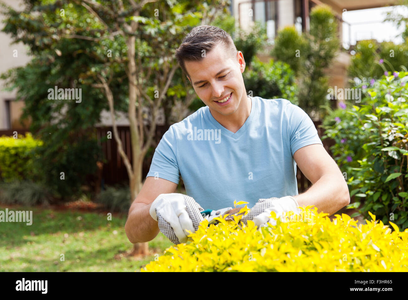 hübscher junger Mann Beschneidung Pflanze zu Hause Garten Stockfoto