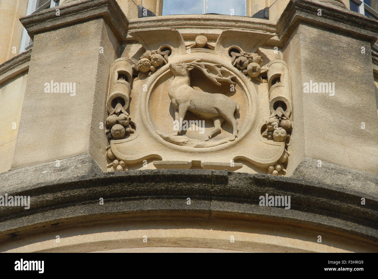 Hart an der Außenwand des Hertford College, Universität Oxford, England Stockfoto