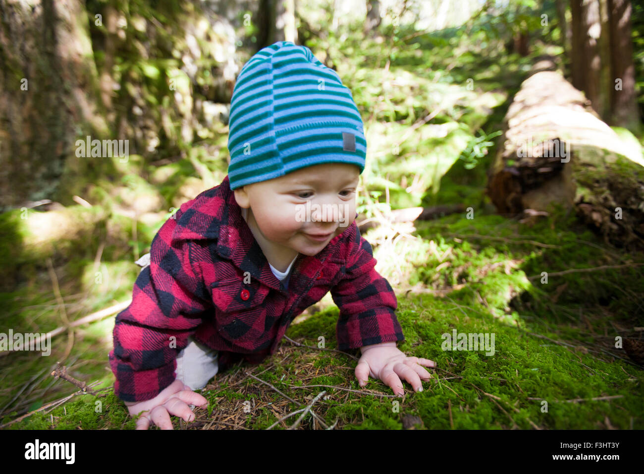 Ein kleiner Junge, krabbeln über einen moosigen Waldboden. Stockfoto