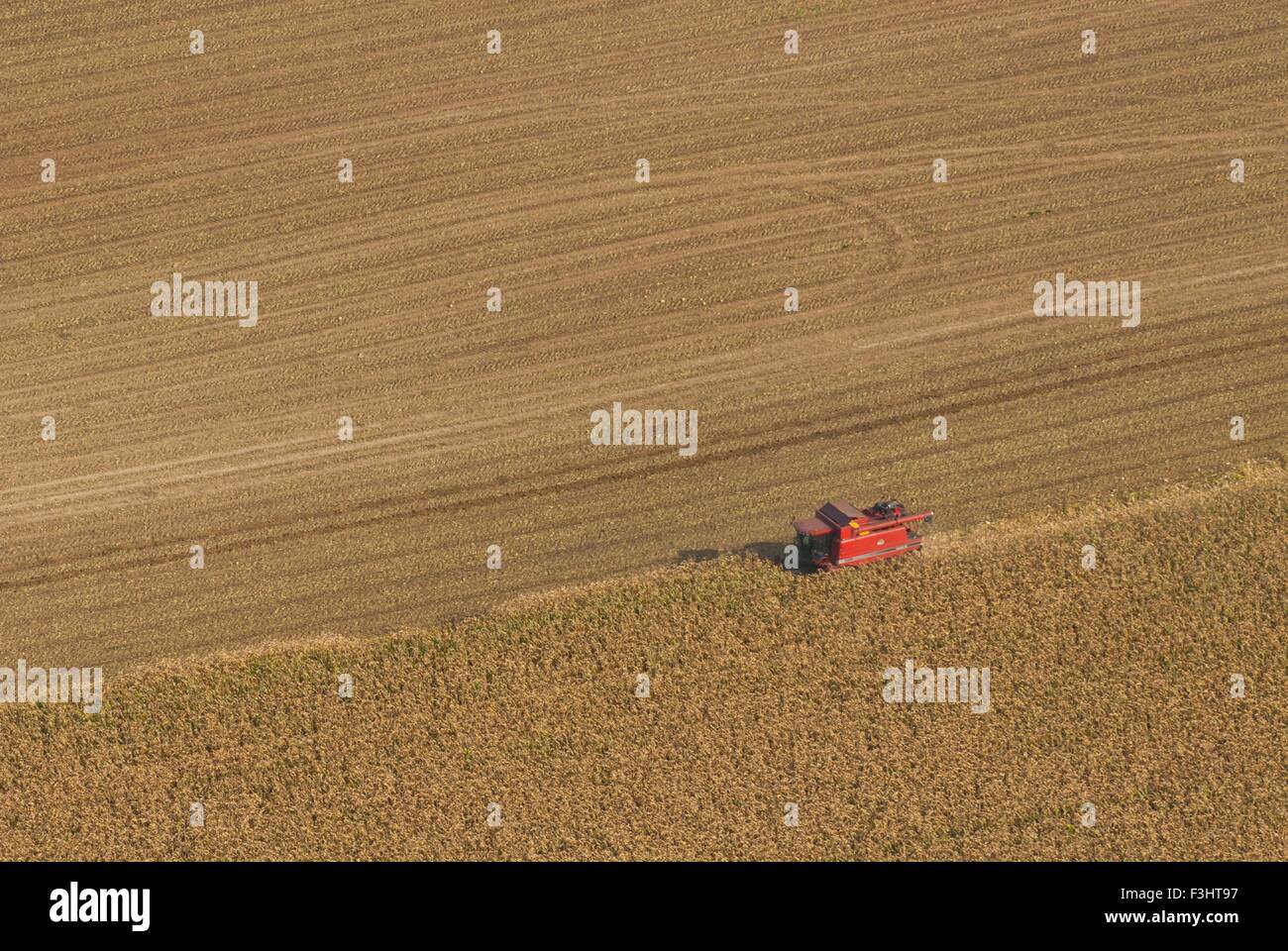 Frankreich, Bas Rhin (67), nördlich von Wasselonne, Traktor im Maisfeld während der Ernte (Luftaufnahme) Stockfoto