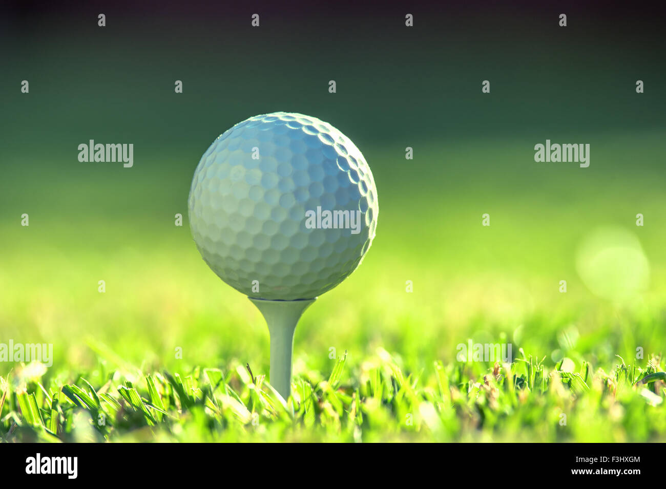 Golfball auf dem grünen Rasen Stockfoto