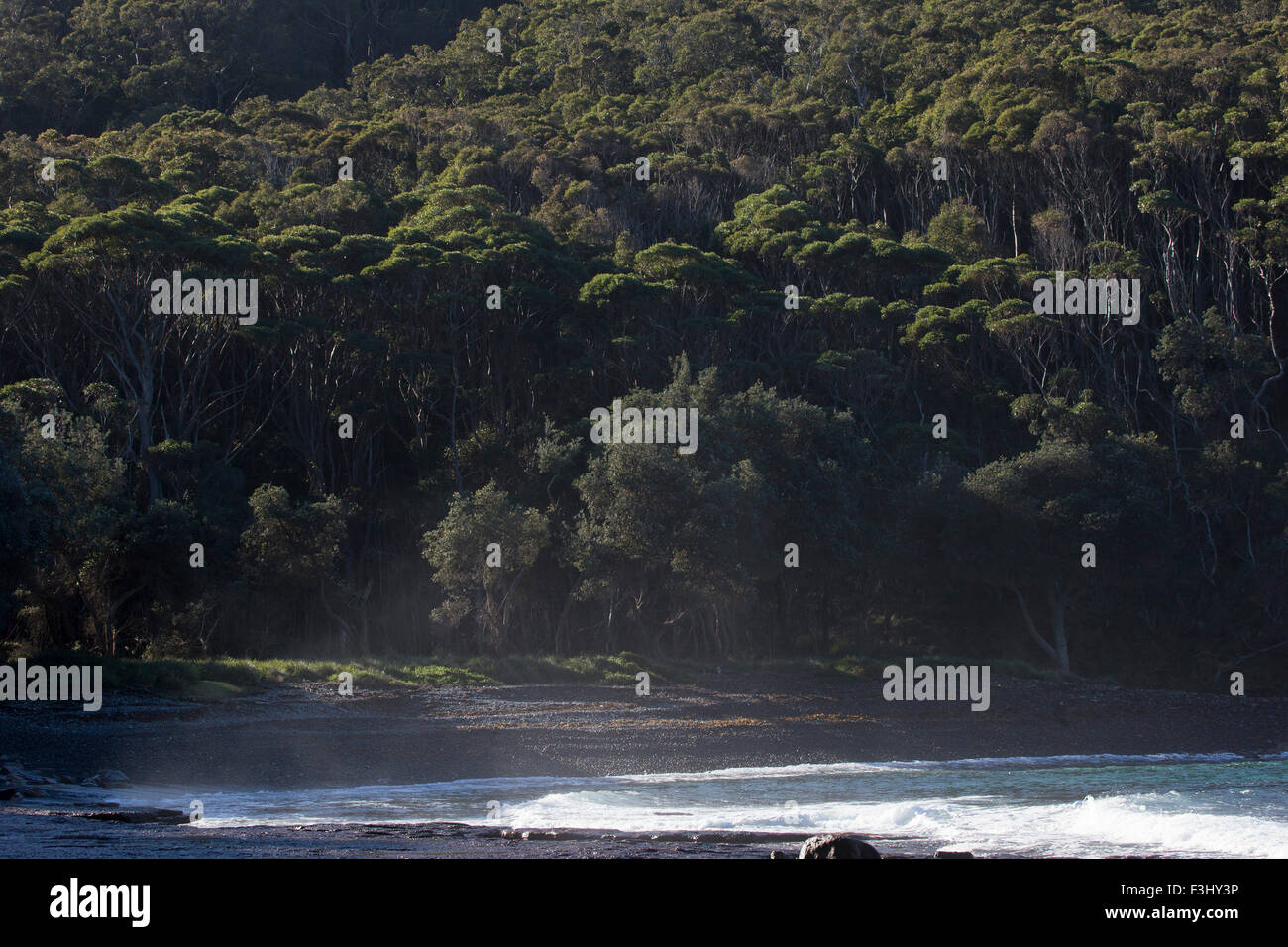 Der Blick zurück auf Schlange Strand, Murramarang National Park, Australien, vom Ende der Bucht. Stockfoto