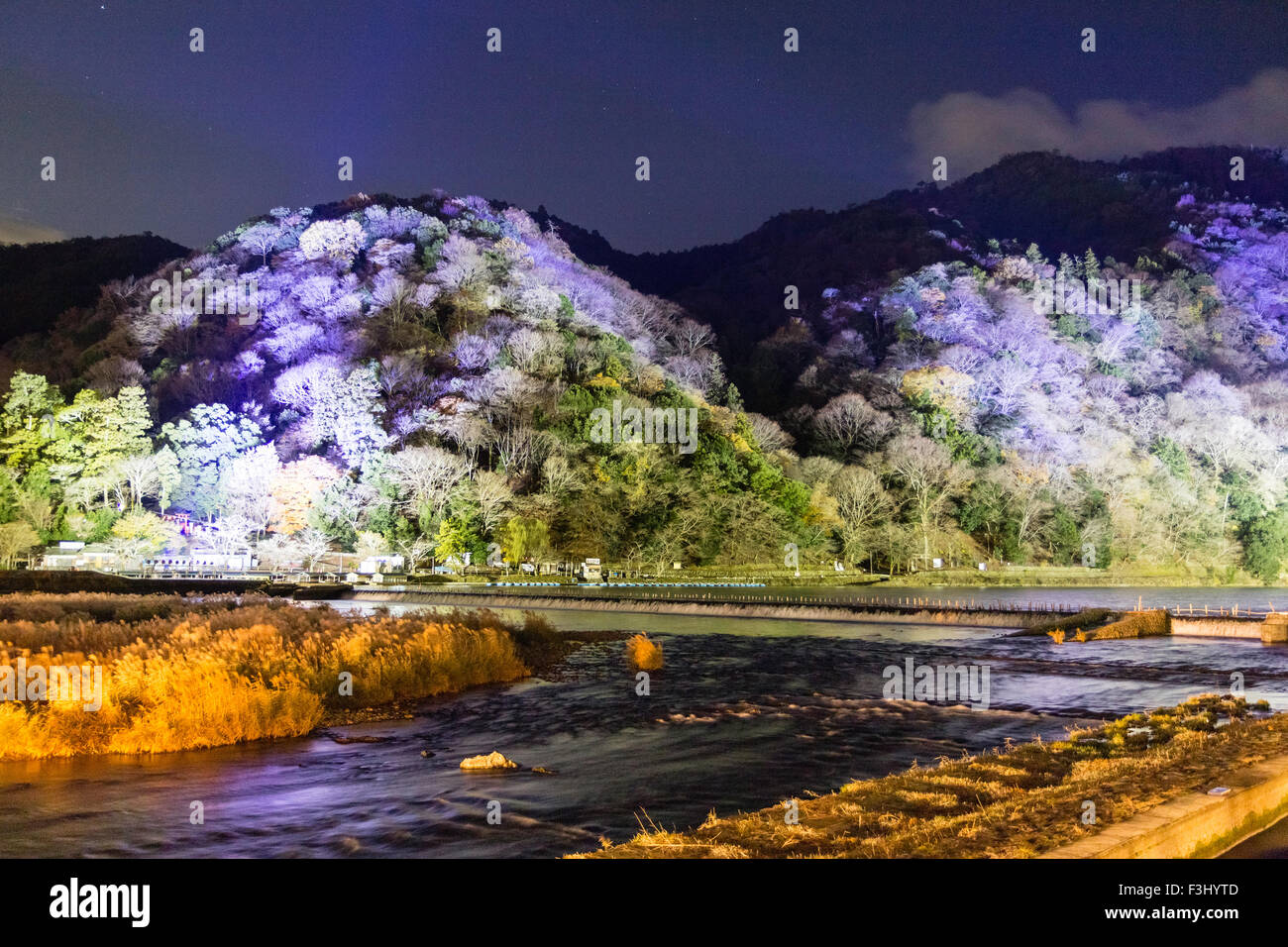 Kyoto, Arashiyama, Hanatouro, Winter Beleuchtung Festival, die Katsura Fluss Vergangenheit beleuchtet Wald bedeckten Hügel fließt im Laufe des Abends. Stockfoto